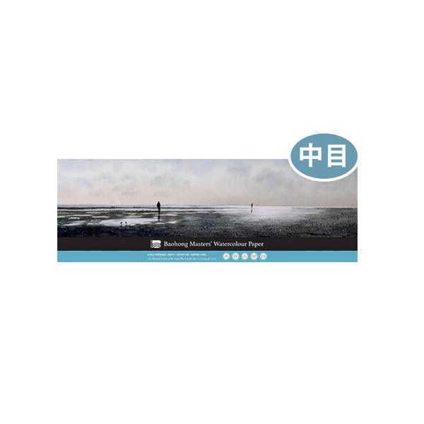 ミューズ 美術用紙 バオホンマスターズ ブロック 300g 中目 130×380mm BHM1338