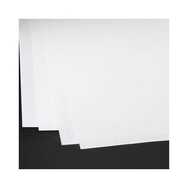 SAKAEeNjJy[p[ t[Ntgy[p[  120g/m2 500 zCg FKB-A4-WK500