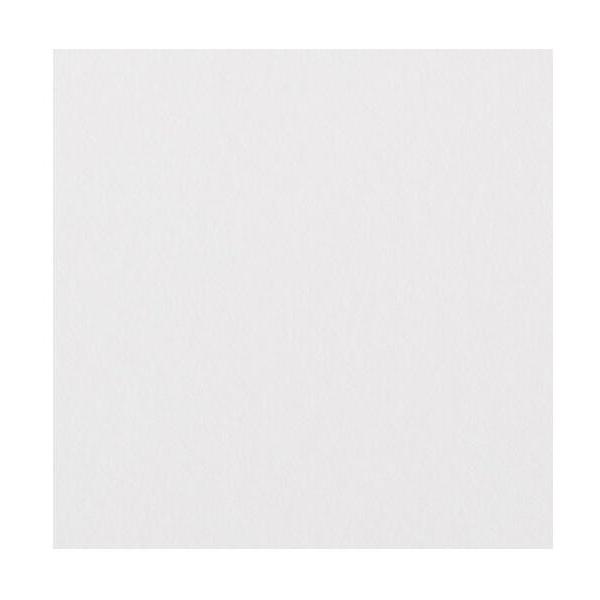 ミューズ 美術用紙 画用紙 ニューTMKポスター 特厚口 225g A5規格 50枚 C