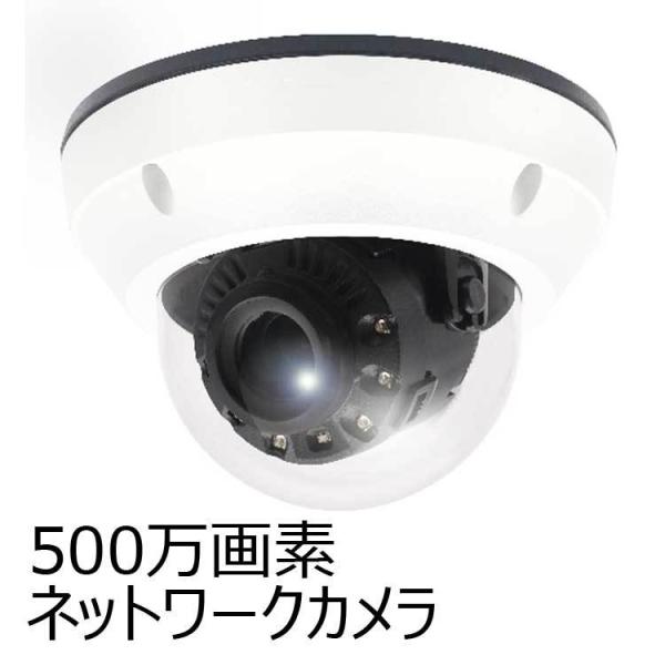 5メガピクセル　屋外IRドーム型ネットワークカメラ　PoE給電対応　catSC-W5041S