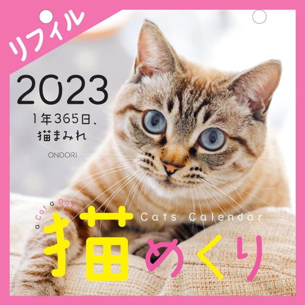 Cats Calendar 猫めくり リフィル: 1年365日、猫まみれ