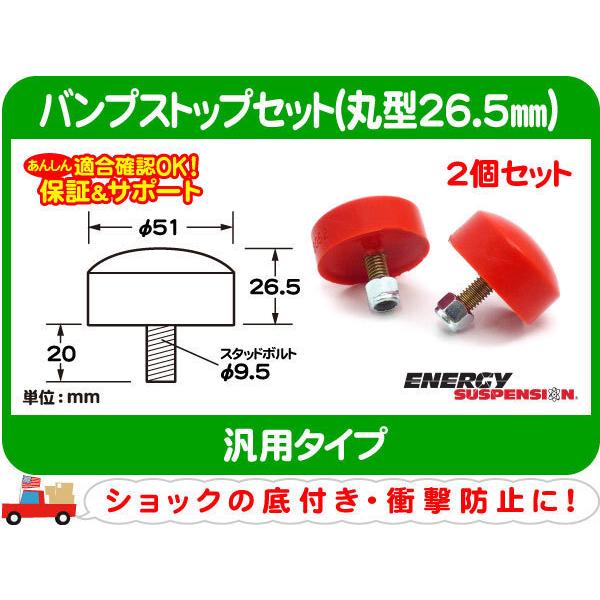 ROGUE　ウレタン製バンパープレート（約20㌔）×2枚 Amazon | ROGUE（ローグ）トレーニングバンパープレート 20kg