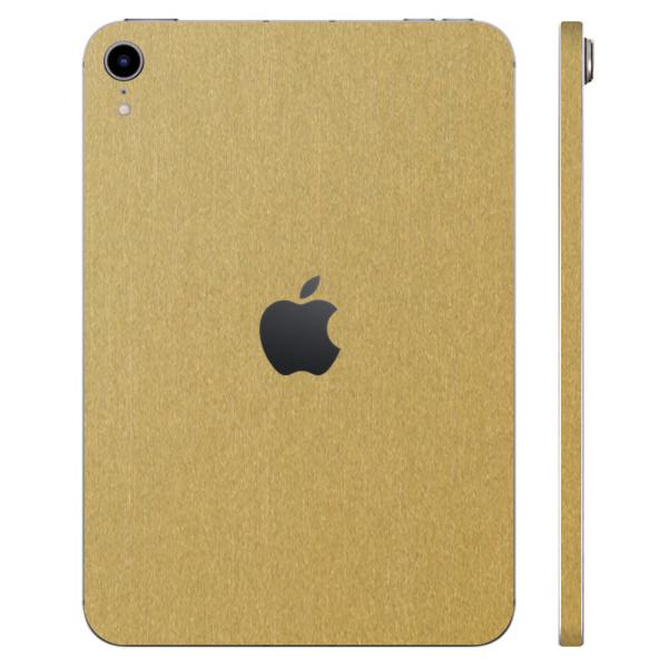 iPad mini (A17 Pro) / mini6 ��6���� �X�L���V�[�� �P�[�X �J�o�[ �t�B���� �w�� wraplus �S�[���h�u���b�V�����^��