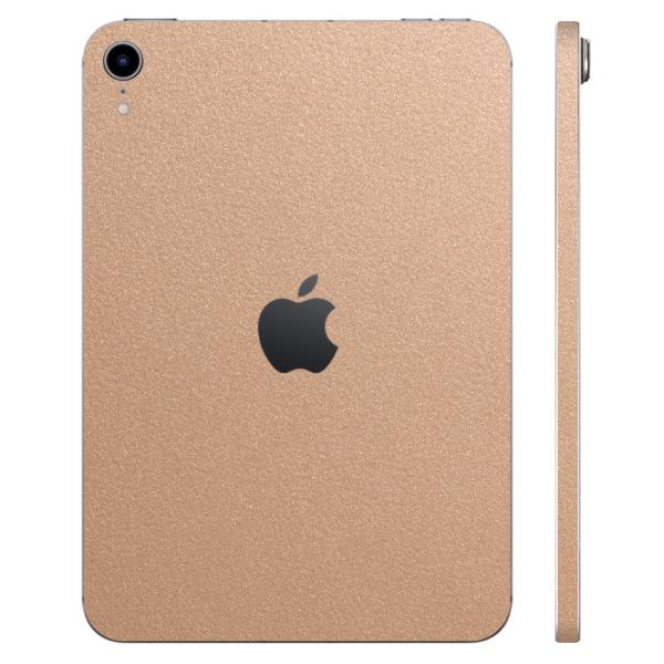 iPad mini (A17 Pro) / mini6 ��6���� �X�L���V�[�� �P�[�X �J�o�[ �t�B���� �w�� wraplus �S�[���h