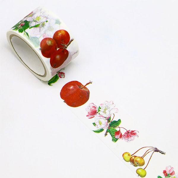 }XLOe[v  J~C\Y {^jJ S̉ԂƎ GR-0023 25mm×5