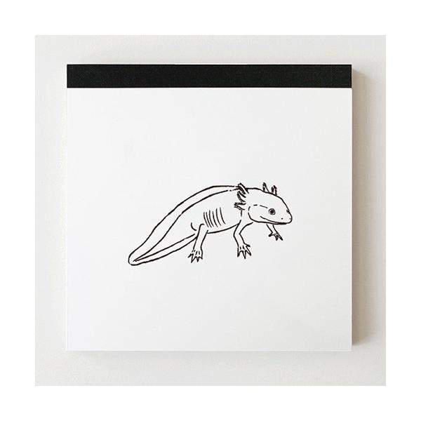 pbhEXNGA  O[tbV GreenFlash Animal Series GF-329 E[p[[p[