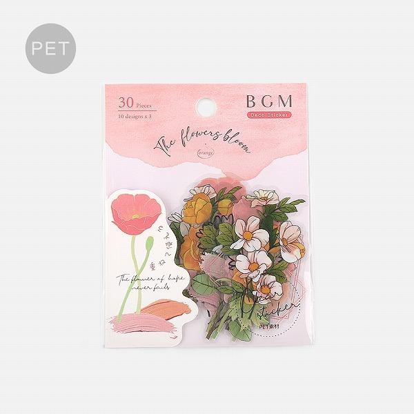 �V�[�� �X�e�b�J�[ BGM �r�[�W�[�G�� �N���A�V�[�� PET �t�����[�Y�u���b�T���E�I�����W BS-PF016 30����