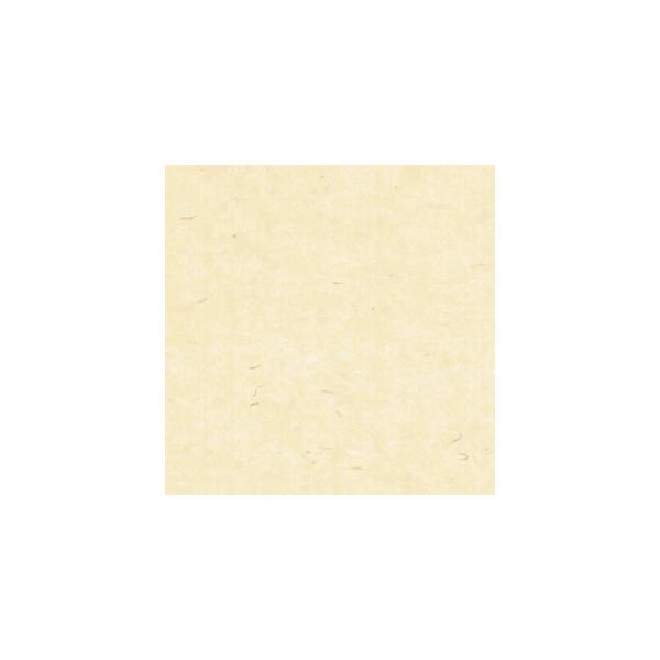 ɏՍ HEIKO VW}  J[t  AC{[ 200