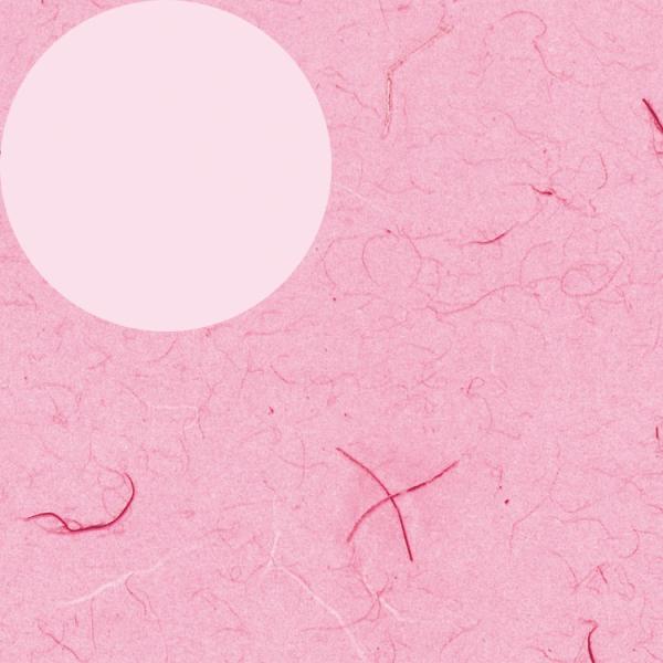  bsO VW} HEIKO S ㎿ ӂуsN 100