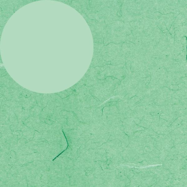  bsO VW} HEIKO  ㎿ ӂї 100