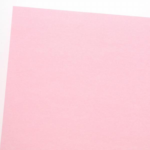 HEIKO PC�J���[���t�� ���� A16 �s���N 50��