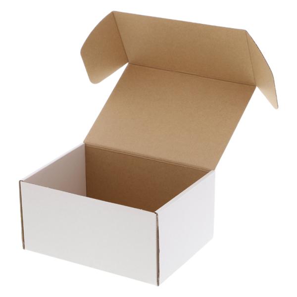  10 gHEIKOVW}t[{bNXF-76 Mtg{bNX bsO [  i{[^ _{[ t} nhCh