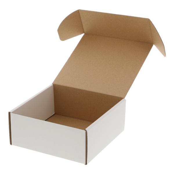  10 gHEIKOVW}t[{bNXF-87 Mtg{bNX bsO [  i{[^ _{[ t} nhCh