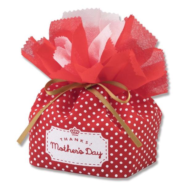 ̓ sDzobO  J[l[V hbgLA303 20