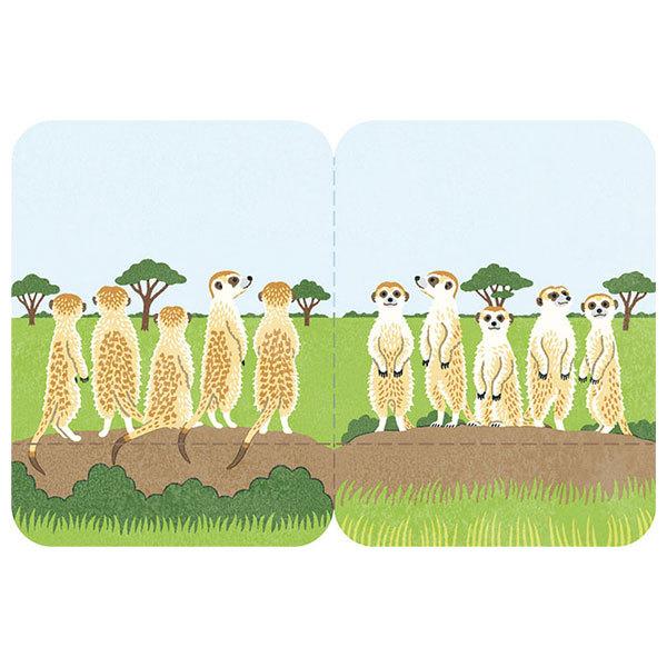 t KING JIM LOW t^}^tZ CXg^Cv ~[ALbg 3580-006 30