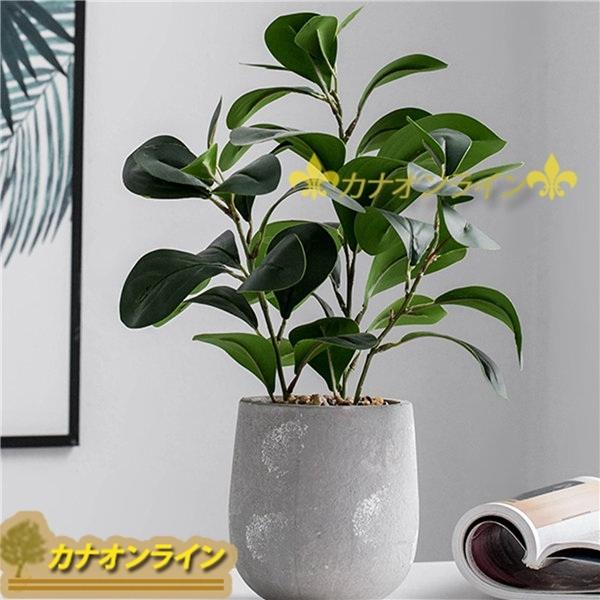 モンステラ フェイクグリーン 西瓜の葉 人工観葉植物 人工葉 鉢植え 枯れない 水やり不要 ダイニング オフィス用 リアル 撮影 開店祝い Xhyx60ff040 カナオンライン 通販 Yahoo ショッピング