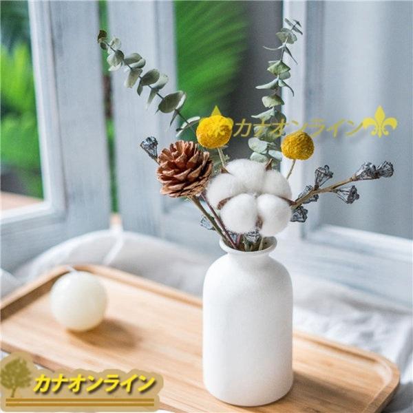 松の実 ドライフラワー 木綿 装飾用 プリザーブドフラワー ユーカリ 花器付き アートフラワー 水やり不要 耐久性 ナチュラル 演出小物 Xhyxb53e2239be カナオンライン 通販 Yahoo ショッピング