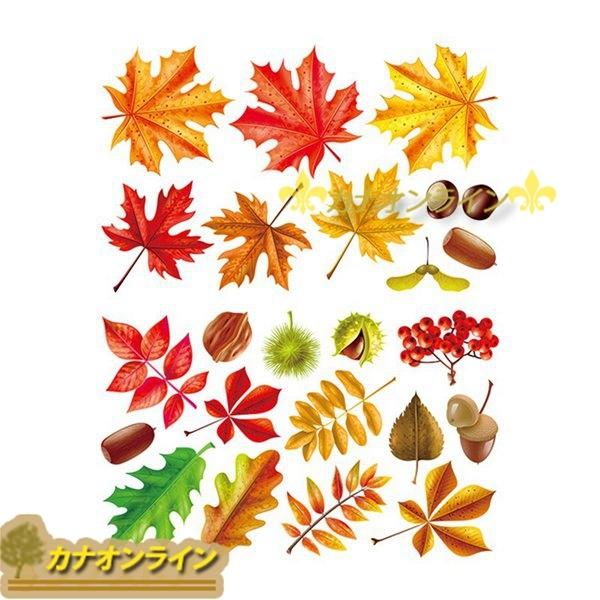 部屋飾り ウォールステッカー 秋 紅葉柄 可愛い ウォールデコ 剥がせる ホーム飾り 癒し バスルーム 幼稚園 キッズ 保育園 玄関壁 Xhyxd01c7d カナオンライン 通販 Yahoo ショッピング