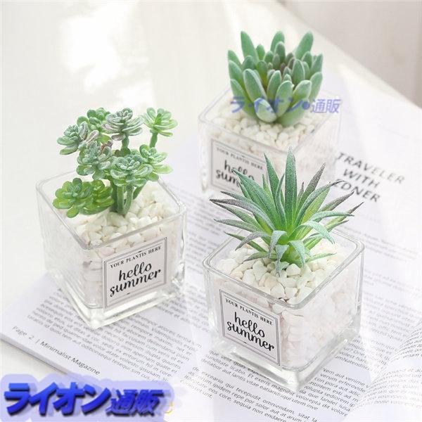 多肉植物 3点セット ミニ鉢植え 人工観葉植物 耐久性 装飾用 フェイクグリーン 造花 世話いらず ナチュラル ウエディング バースデー Xhyx1be7610a ライオン通販 通販 Yahoo ショッピング