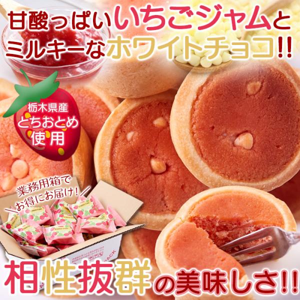 天然生活 いちごタルト (22個) 栃木県産 とちおとめ スイーツ お菓子 おやつ お土産 誕生日 SM00010808