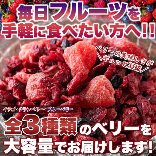 天然生活 ミックスベリー3種 (500g) ドライフルーツ クランベリー イチゴ ブルーベリー 乾燥 果物 大容量 おやつ トッピング 製菓材料 SM00010880