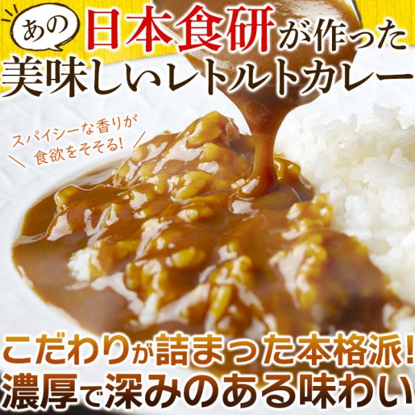 天然生活 食研カレー 4食 (200g×4袋) レトルト 中辛 本格的 スパイス 夕飯 時短 長期保存 ルー 送料無料 SM00011161