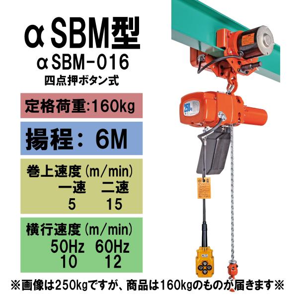象印 【直送品】象印チェンブロック αSBM型 αSBM-016 揚程6M 単 象印 【直送品】象印チェンブロック αSBM型 αSBM-016 揚程6M 単