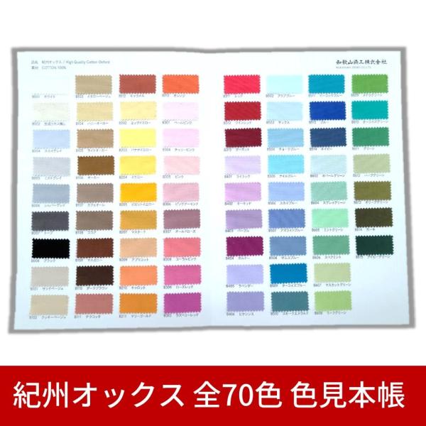 【希少・レア】日本の草木染 ＜見本布50点貼込＞+オマケ色見本 希少・レア】日本の草木染 ＜見本布50点貼込＞ 希少・レア】日本