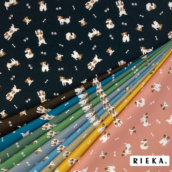 wskstore_wsk000000220