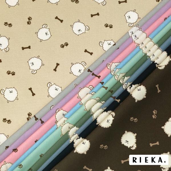 wskstore_wsk000000256