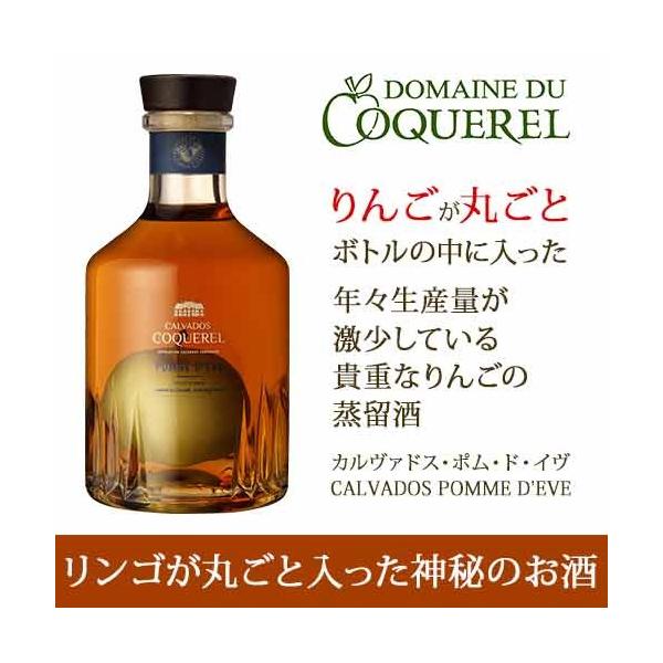 カルヴァドス・ポム・ド・イブ」の人気商品一覧・価格比較 - 価格.com