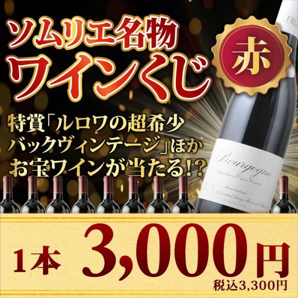 ワインくじ ソムリエ名物ワインくじ（赤ワイン）【数量・期間限定】 爆買