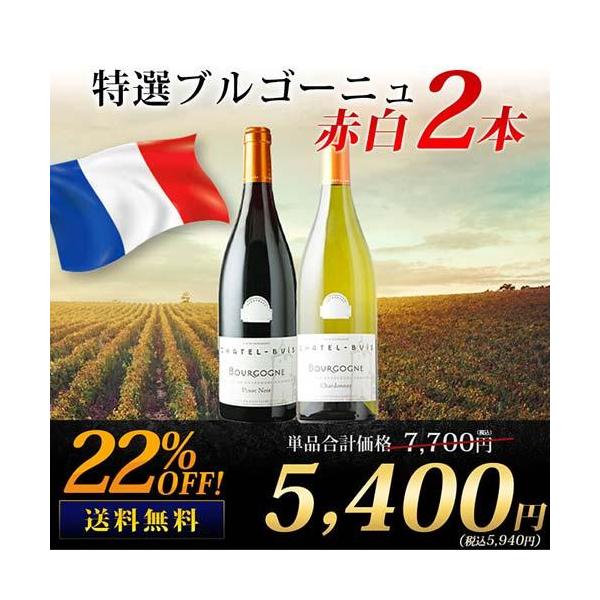 ブルゴーニュワイン　赤、白2本セット 特選ブルゴーニュ赤白2本セット 送料無料 赤1本＆白1本 ワイン