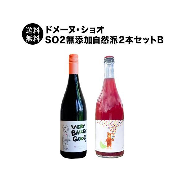 ワイン ワインセット 「40セット限定」ドメーヌ・ショオSO2無添加自然