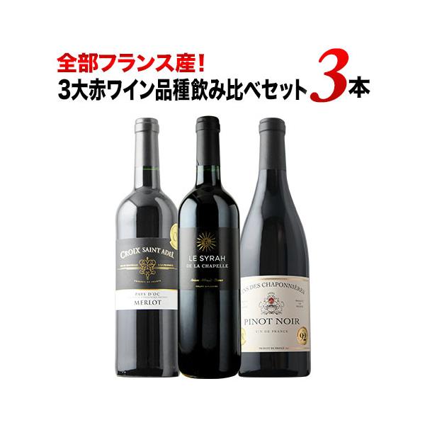 wsommelier_set032101990048404_1_d_20260219142601