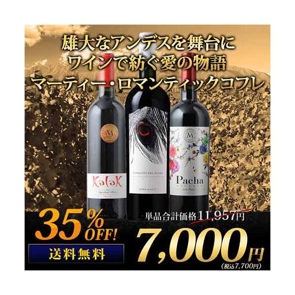 送料無料！単品で買うより4,257円引き！【T-RE】【SET-3】【母の日】【父の日】【プレゼント】【ギフト】【バーベキュー】【お中元】【ポイント利用】