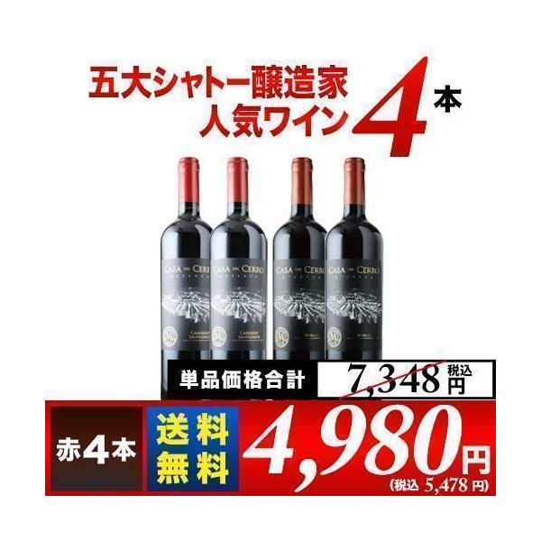 【送料無料！ワインセット】おかけさまで累計50万本突破！あと8本同梱できます！【SET-4】【T-RE】【母の日】【父の日】【プレゼント】【ギフト】【バーベキュー】【お中元】【ポイント利用】