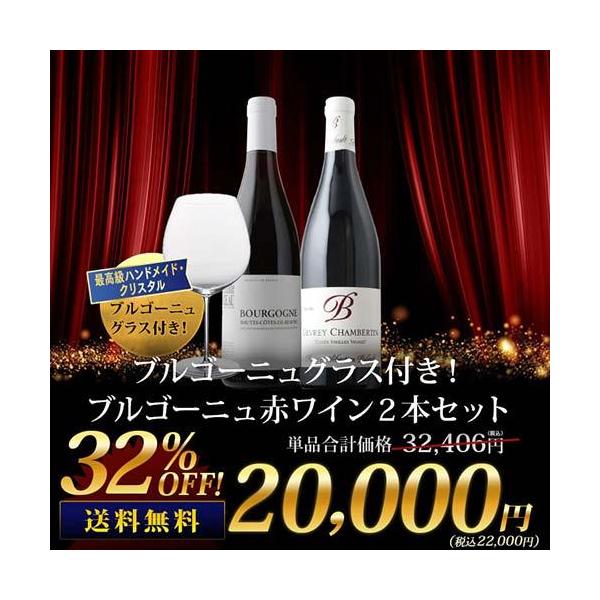 ブルゴーニュ赤ワイン2本セット ワインセット】ブルゴーニュ紅白2本セットC☆ - WINE SHOP nico
