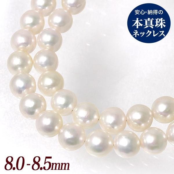 sՂɂ߁t {^ p[lbNX zCgn 8.0-8.5mm Eh`Z~Eh [n2]yWEBz