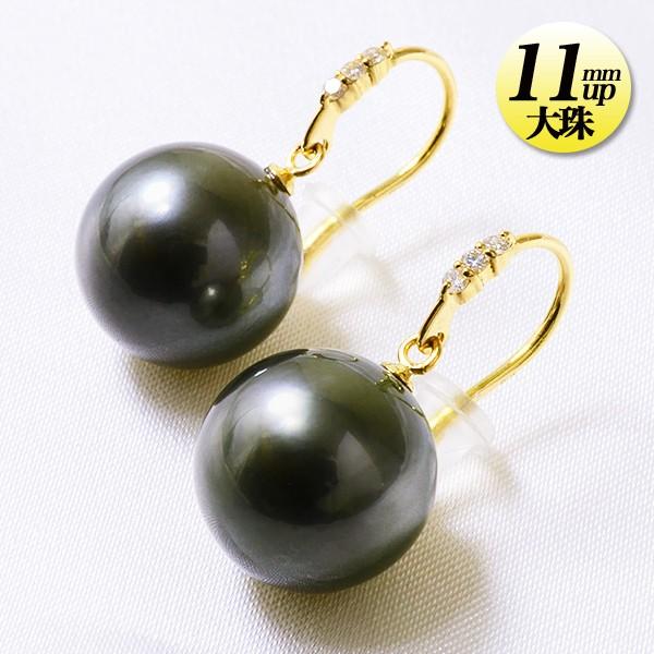 タヒチ黒蝶真珠 アメリカン/フックパールピアス グリーン系 11.5 タヒチ黒蝶真珠 アメリカン/フックパールピアス グリーン系 11.5