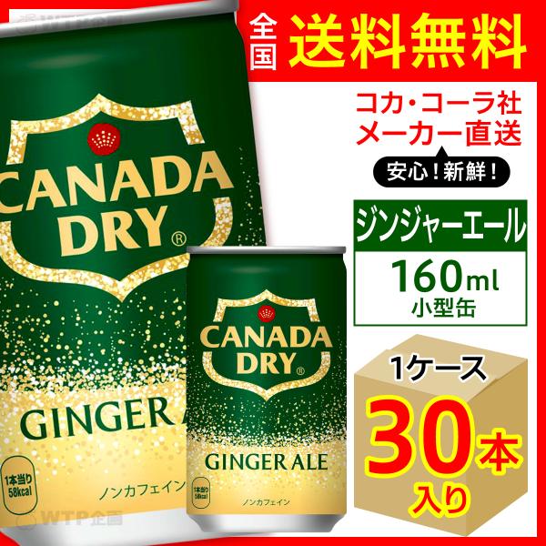 カナダドライ ジンジャーエール 160ml 30本入1ケース/炭酸飲料 缶 コカ