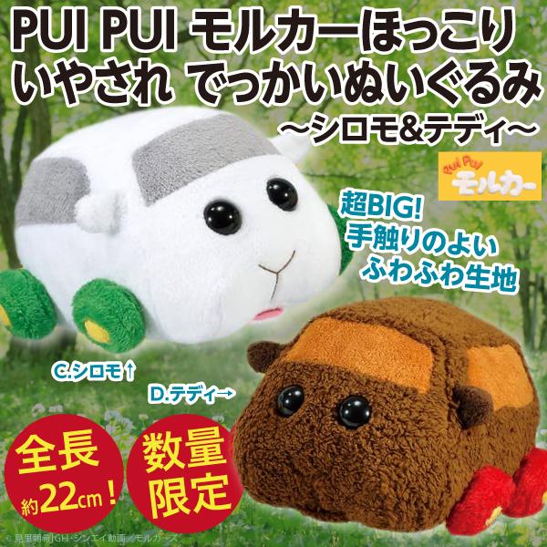 PUIPUIモルカー ほっこりいやされ でっかいぬいぐるみ テディ - ぬいぐるみ