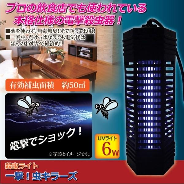 無味無臭の電撃殺虫器 薬を使わず害虫退治 蚊 ハエを駆除 大部屋 業務用 飲食店 消費電力小 6wタイプ プロ仕様 Buyee Buyee Japanese Proxy Service Buy From Japan Bot Online