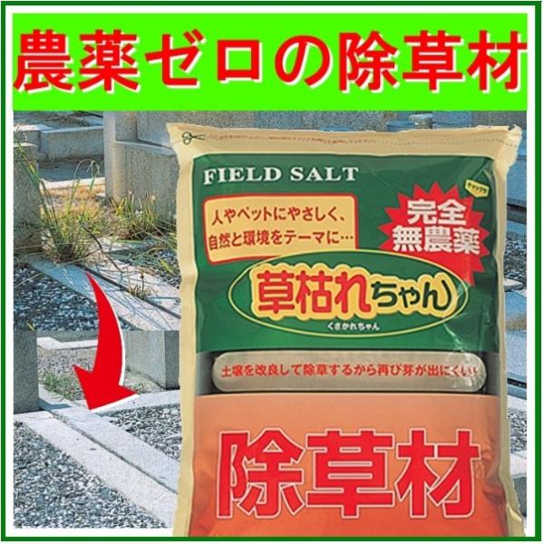 無農薬除草剤 お子様やペットにもやさしく安心！ 無害 非農耕地専用 完全無農薬 玄関周り ガーデニング 墓地 更地 1kg