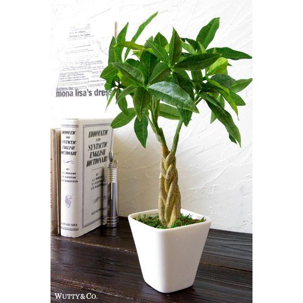 フェイクグリーン パキラ 光触媒加工 人工観葉植物 Gr 0016 Wutty Co Yahoo ショッピング店 通販 Yahoo ショッピング