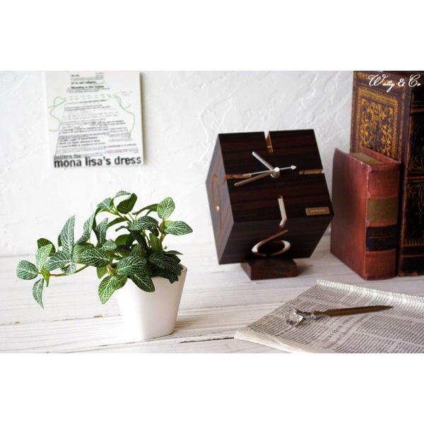 フェイクグリーン フィットニア S 人工観葉植物 光触媒加工 Buyee Buyee 提供一站式最全面最專業現地yahoo Japan拍賣代bid代拍代購服務 Bot Online