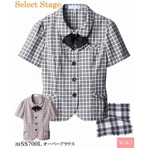  Select Stage SS700L I[o[uEX ^Ct ƌĐSn`FbN Ăɂꂵu@\ tĕ jbss700l _n{X