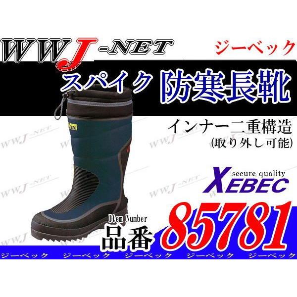 hC |SXpCNXʓŊɂʂ𔭊 h C 85781 xb85781 W[xbN