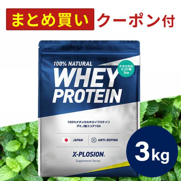 エクスプロージョン WPC 3kg ミント味 100%ホエイプロテイン 大容量 