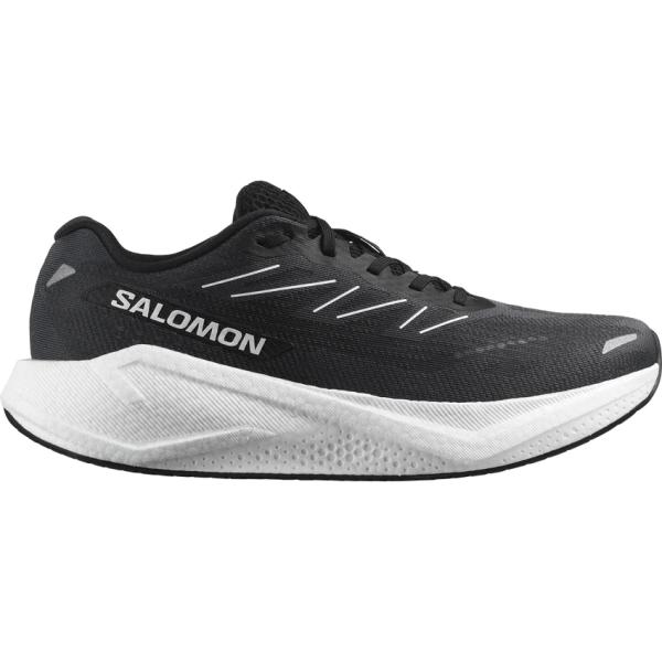 SALOMON（サロモン） SALOMON L47874400 AERO BLAZE 3 カラーPhantom